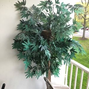 Meet your Posher, Kenneth